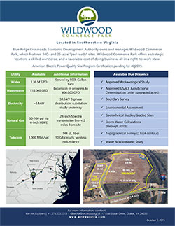Wildwood Commerce Park Site Flyer